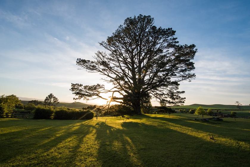 17342579_10155107065478185_8802293928482730611_n