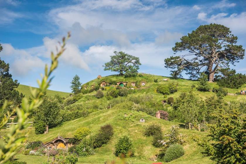 17353074_10155107041698185_4919008305345792930_n