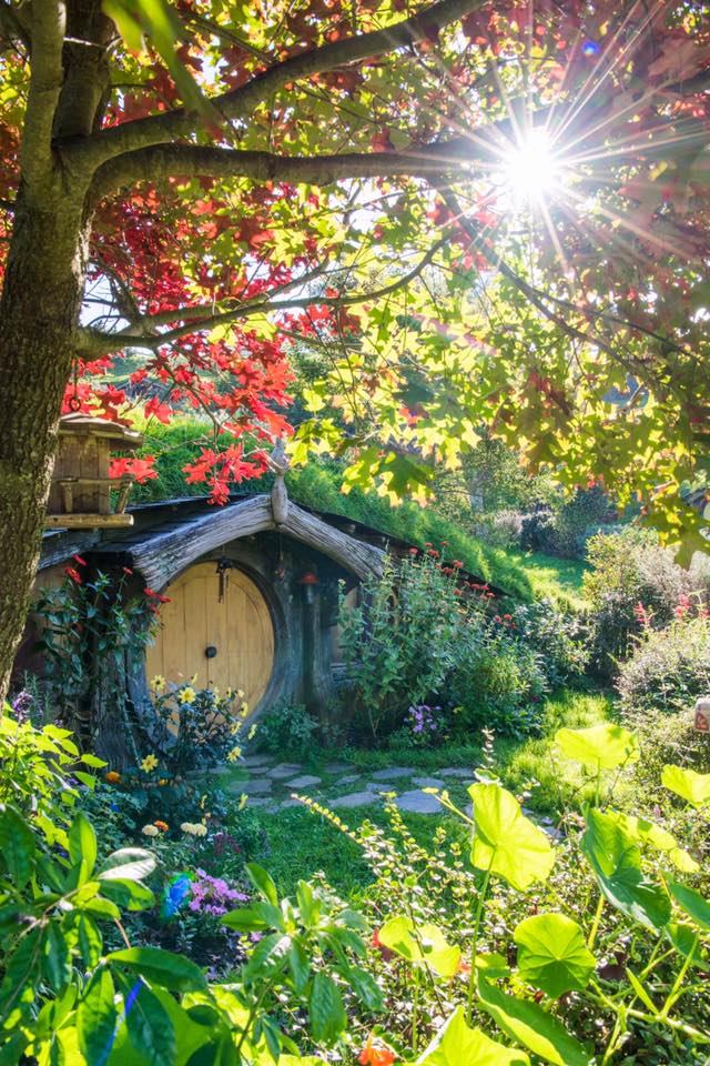 18034180_10155221585228185_7277396745228718979_n