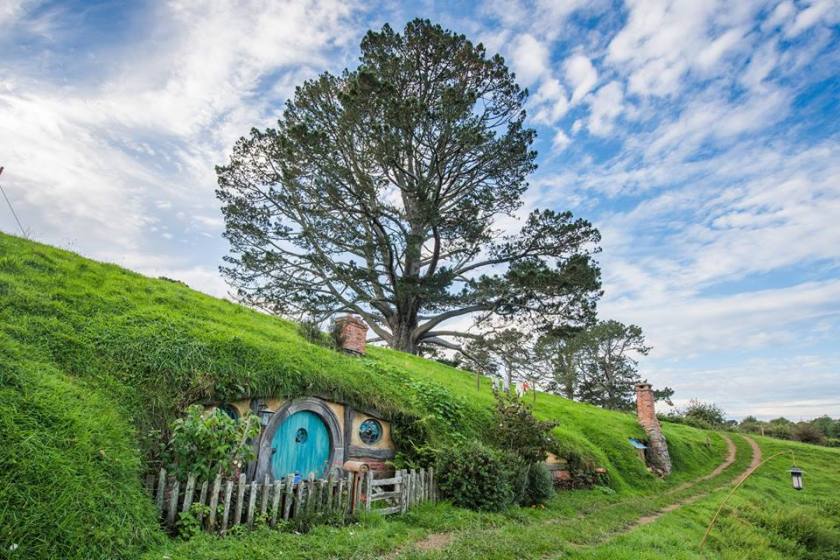 18222223_10155263786383185_3147594879999932612_n