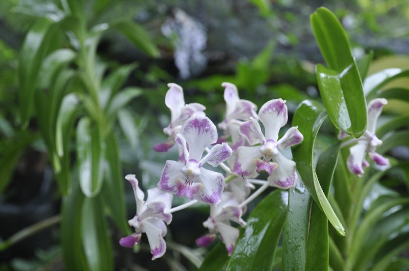 9695226345_438d3768f3_b