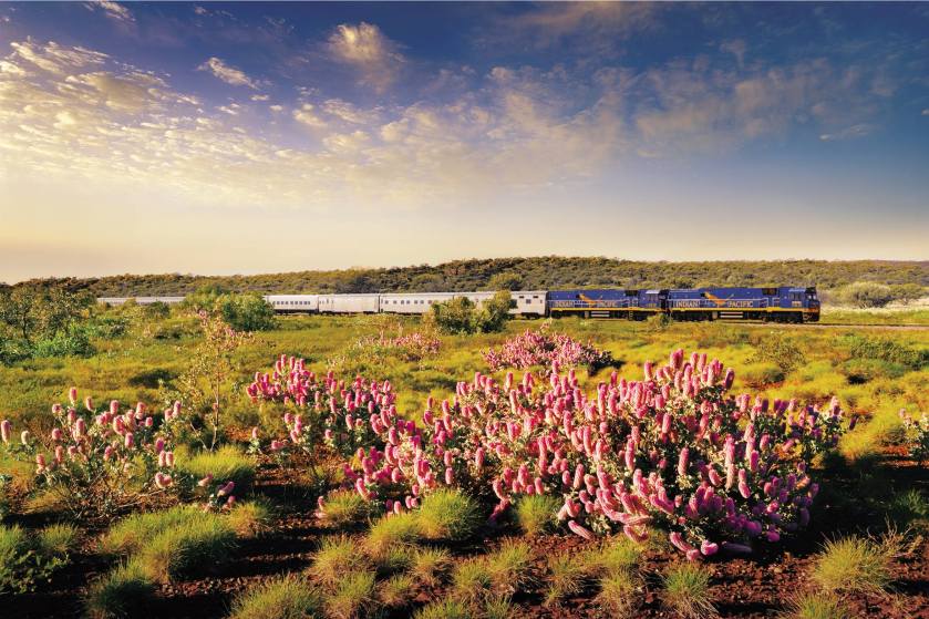 16819243_1465505316817628_47934574048709226_o